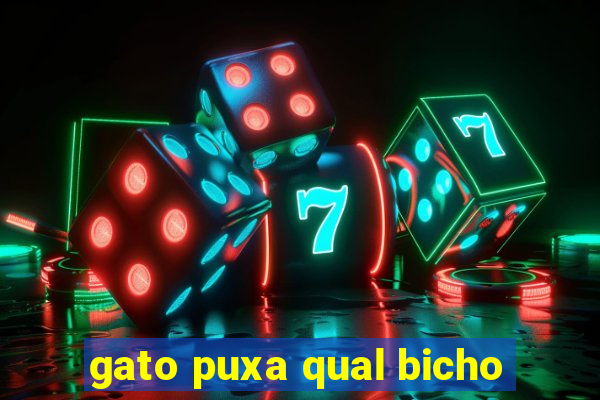 gato puxa qual bicho